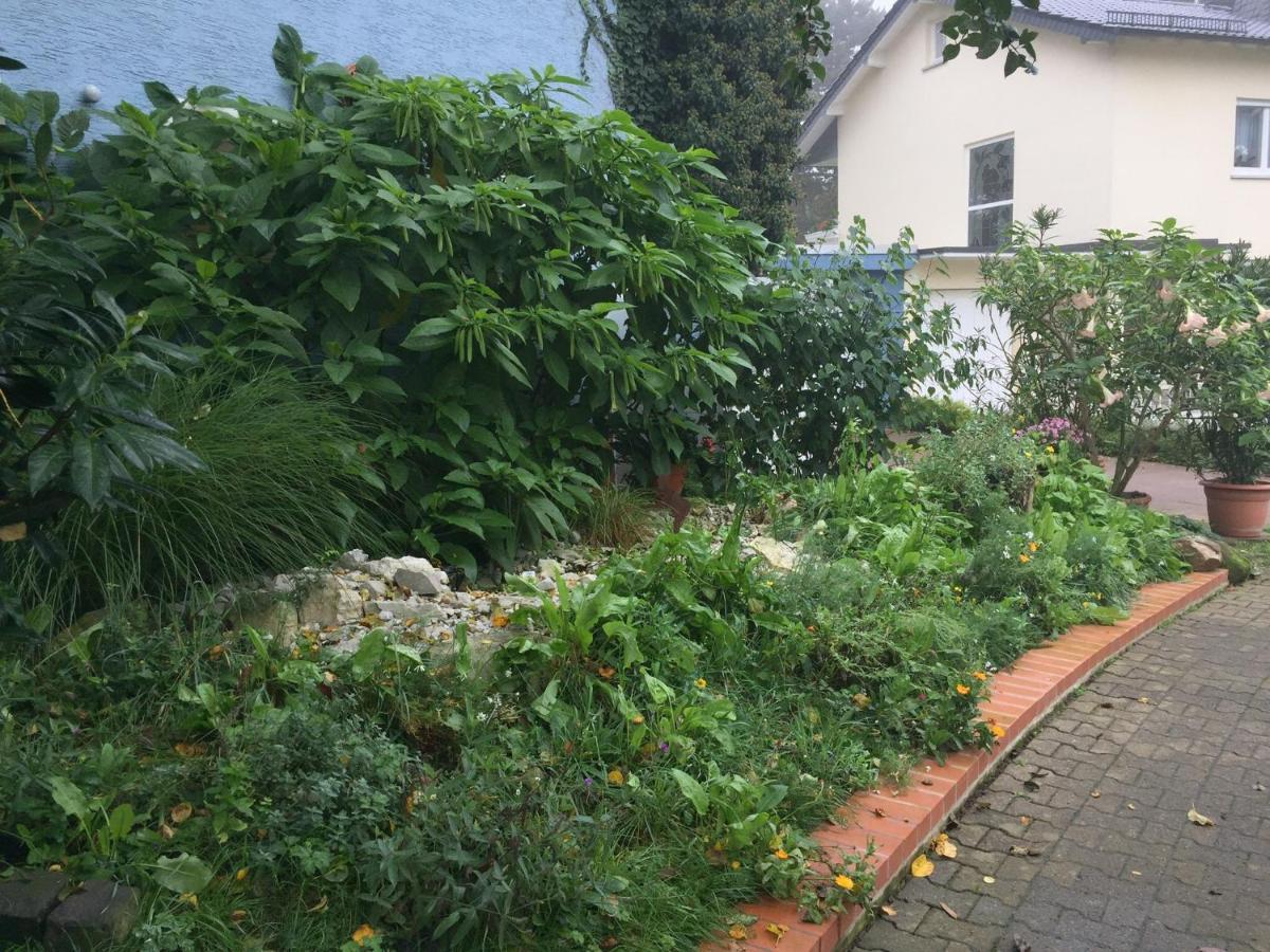 Blaues Haus Daire Niederdorfelden Dış mekan fotoğraf