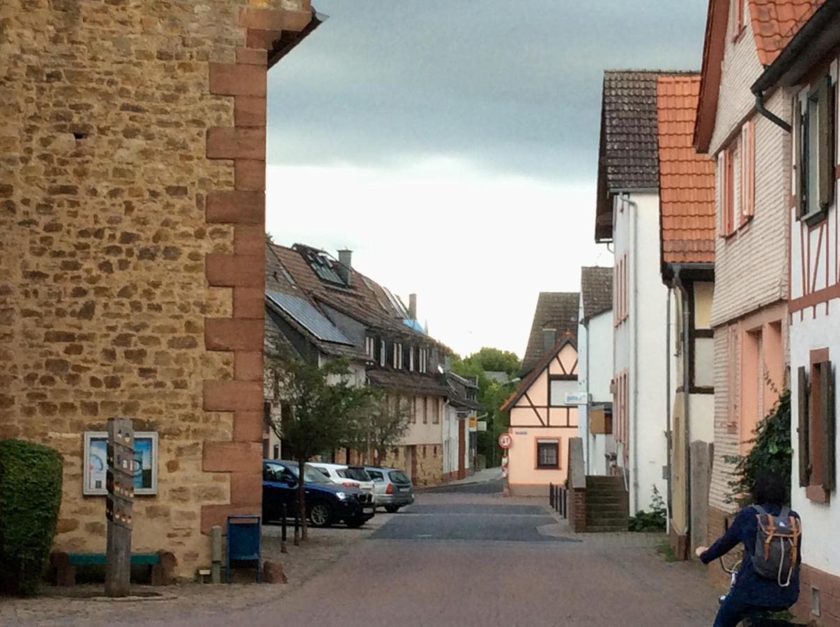 Blaues Haus Daire Niederdorfelden Dış mekan fotoğraf