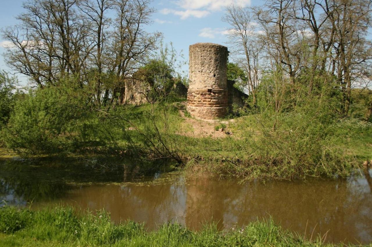 Blaues Haus Daire Niederdorfelden Dış mekan fotoğraf
